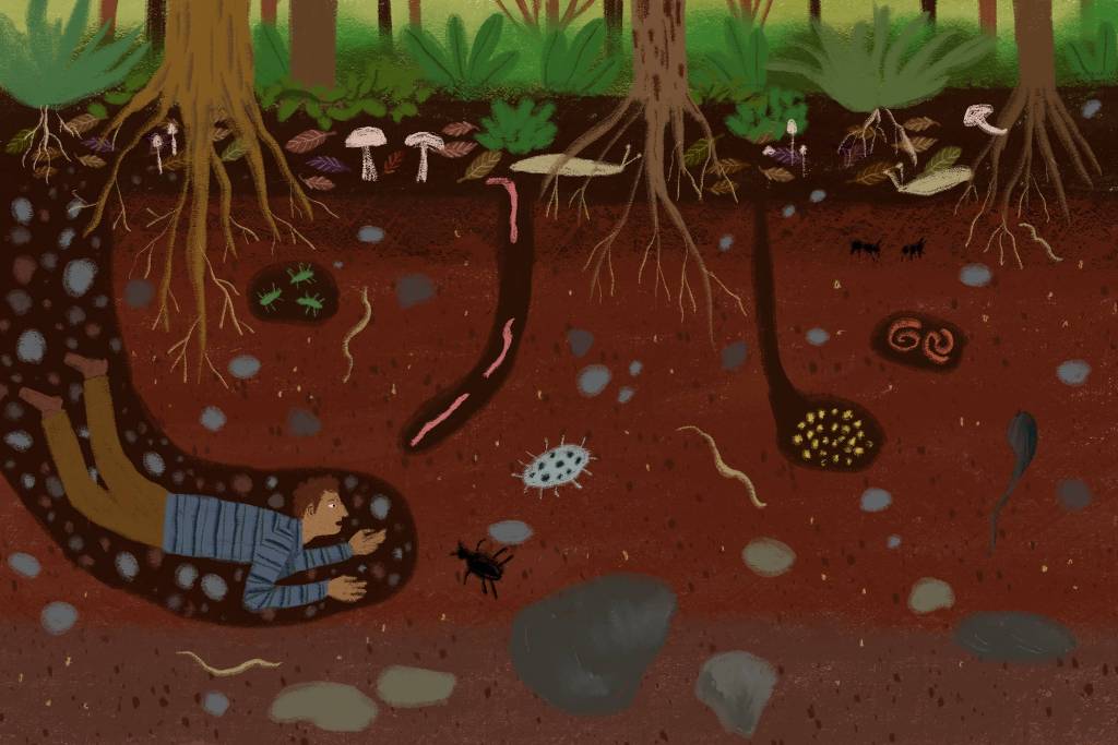 Illustration